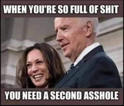 Anti Democrat Memes, Funniest Memes, Joe Biden, Political Memes  WHEN YOU RE SO FULL OF SHIT YOU NEED A SECOND