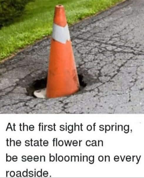 Funniest Memes, Government Memes State Flower