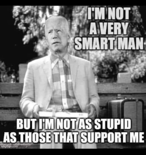 Anti Democrat Memes, Funniest Memes, Joe Biden, Political Memes  I M NOT A VERY SMART MAN BUT I M NOT