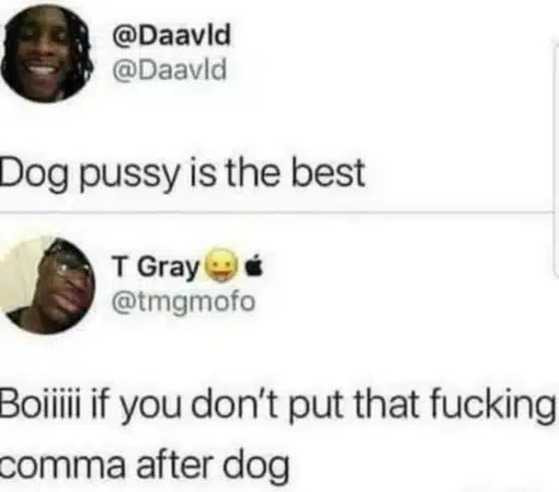 Funniest Memes, Grammar Memes Dog Pussy is the best