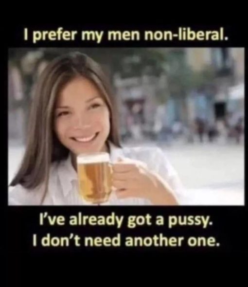Funniest Memes, Woke Idiot Memes  I prefer my men non liberal    I ve