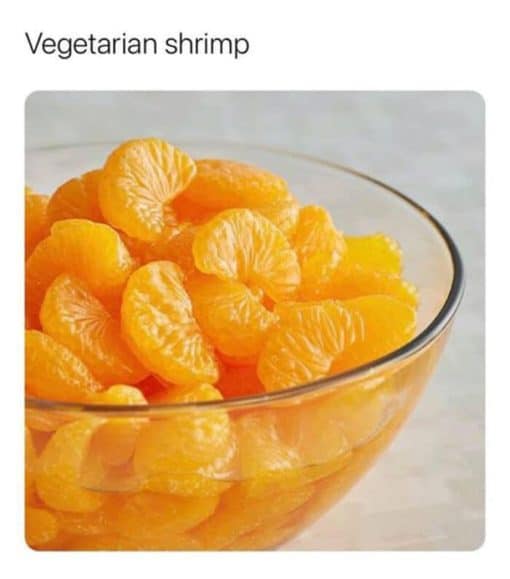 Food Memes, Funniest Memes, Vegan Memes 