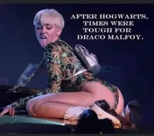 Funniest Memes, Harry Potter Memes  AFTER HOGWARTS  TIMES WERE TOUGH FOR DRACO MALFOY  