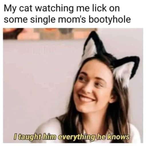 Anal Sex Memes, Cat Memes, Funniest Memes  My cat watching me lick on some single mom s bootyhole