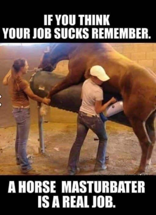Bad Jobs Memes, Funniest Memes, Masterbation Memes, Work Memes  IF YOU THINK YOUR JOB SUCKS REMEMBER  A HORSE MASTURBATER