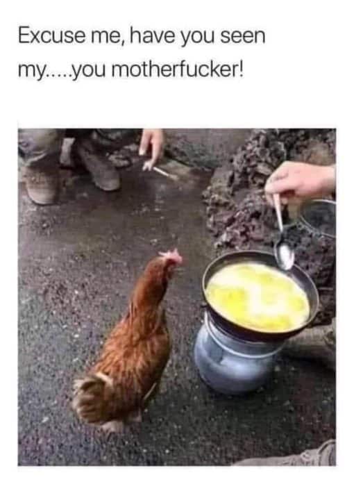 Chicken Memes, Food Memes, Funniest Memes 