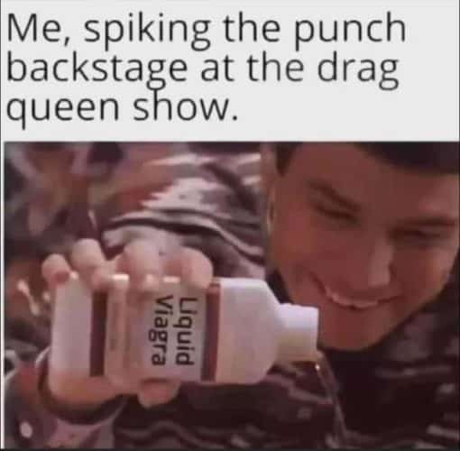 Funniest Memes, Prank Memes, Trans Memes  Me  spiking the punch backstage at the drag queen show