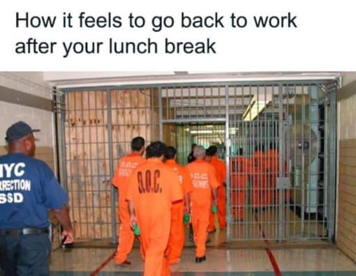 Funniest Memes, Prison Memes, Work Memes 