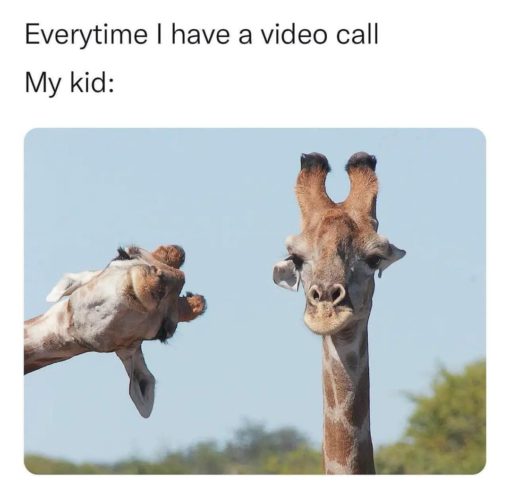 Animal Memes, Funniest Memes, Kid Memes, Photobomb Memes 