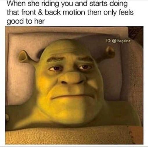 Funniest Memes, Sex Memes, Shrek Memes  When she riding you and starts doing that front  