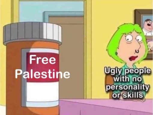 Funniest Memes, Woke Idiot Memes  Free Palestine   Ugly people with no personality or skills