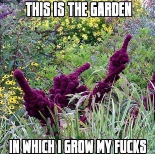 Fuck You Memes, Funniest Memes, Garden Memes 