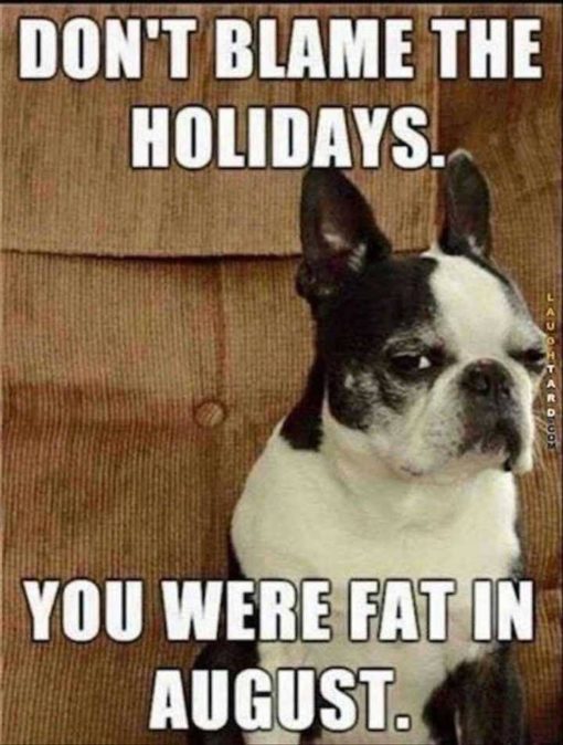Fat Joke Memes, Funniest Memes, Holiday Memes 