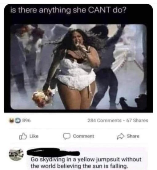Fat Joke Memes, Funniest Memes  is there anything she CANT do Go skydiving