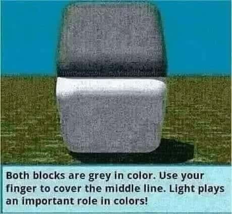 Funniest Memes, Optical Illusion Memes blocks same color