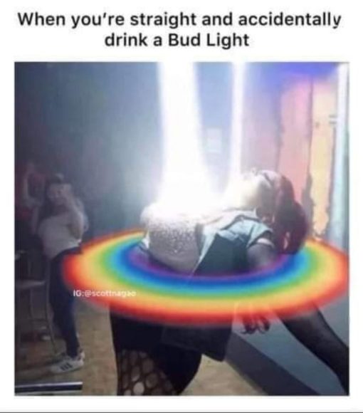 Bud Light, Funniest Memes 