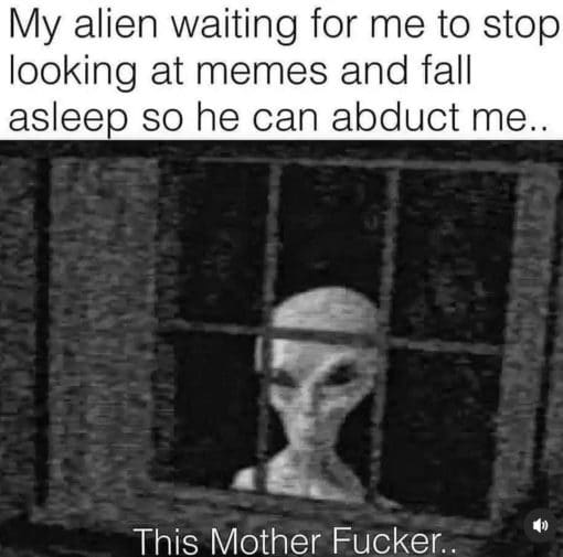 Alien Abduction Memes, Alien Memes, Funniest Memes, Memes About Memes, Night Terror Memes 