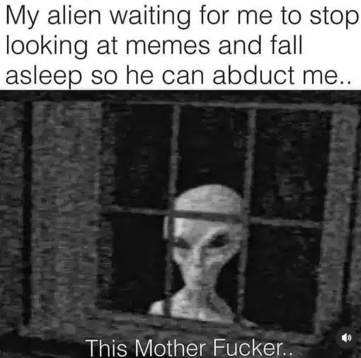 Alien Abduction Memes, Alien Memes, Funniest Memes, Memes About Memes, Night Terror Memes 