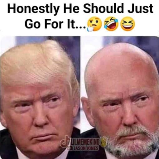 Donald Trump Memes, Funniest Memes, Hair Memes 