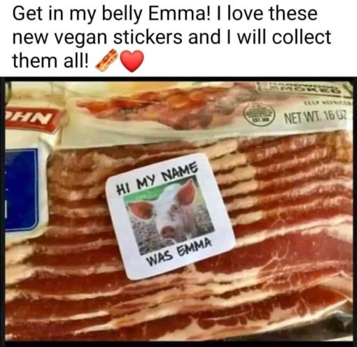 Bacon Memes, Funniest Memes, Vegan Memes 