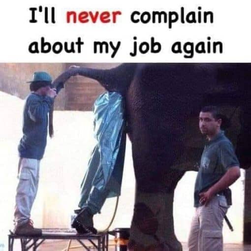 Funniest Memes, Job Memes, Nasty Memes Never complain about Job Again