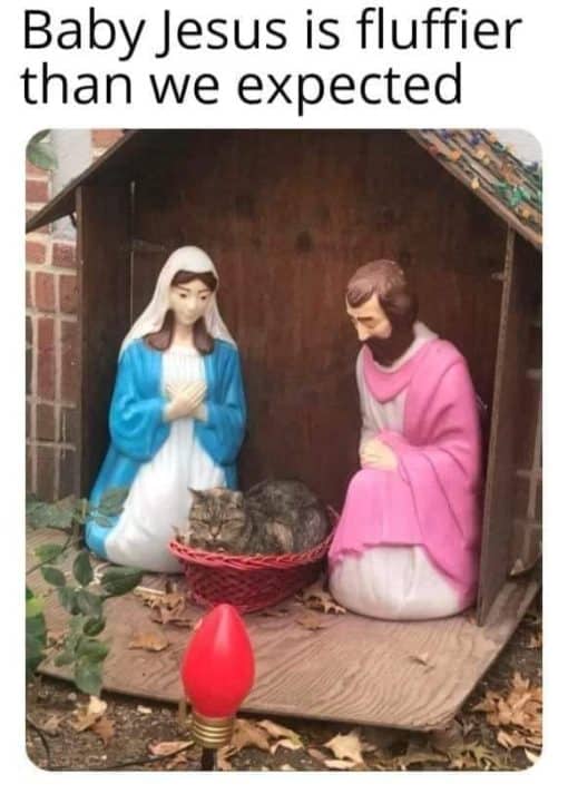 Cat Memes, Christian Memes, Christmas Memes, Funniest Memes, Religious Memes 