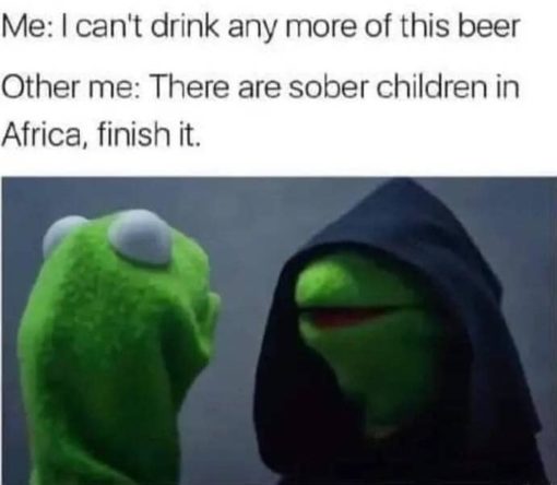 Beer Memes, Dark Side Kermit, Drinking Memes, Funniest Memes 