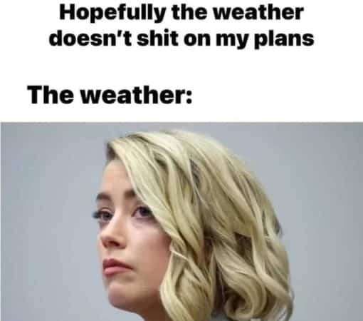 Amber Heard Memes, Funniest Memes, Poop Memes, Weather Memes 