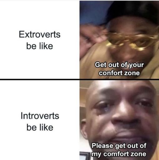 Funniest Memes, Introvert Memes 