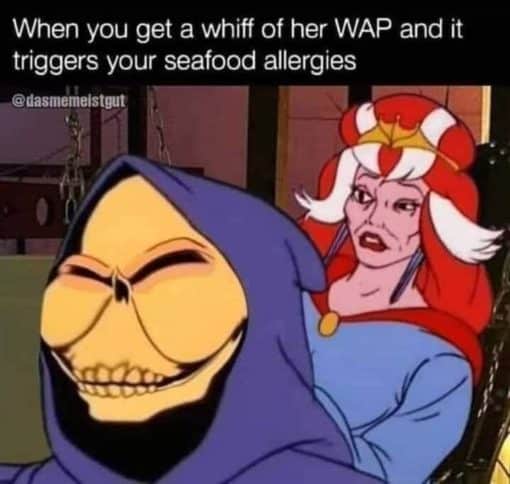 Funniest Memes, Skeletor Memes, Stink Memes, Vagina Memes  When you get a whiff of her WAP and it triggers