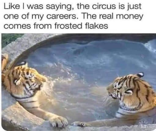 Animal Memes, Cereal Memes, Funniest Memes, Tiger Memes 