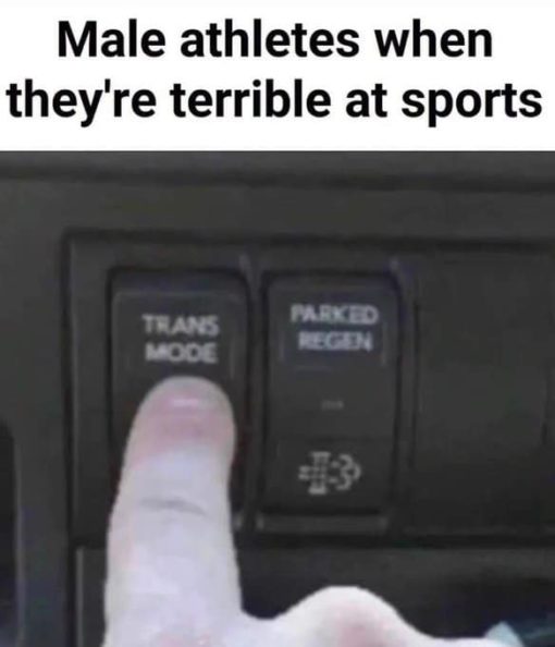 Funniest Memes, Sports Memes, Trans Memes 