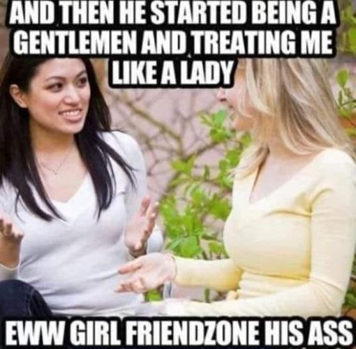 Friend Zone Memes, Funniest Memes, Modern Women Memes 