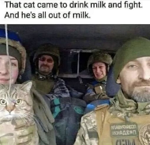 Army Memes, Cat Memes, Funniest Memes 
