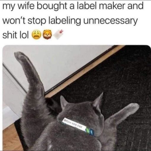 Cat Memes, Funniest Memes, Wife Memes 