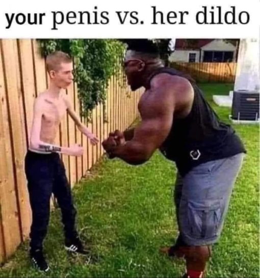 Funniest Memes Your penis vs her dildo