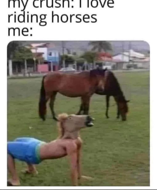 Funniest Memes, Horse Memes, Sex Memes 