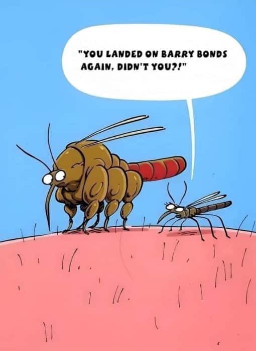 Funniest Memes Mosquito Steroid 