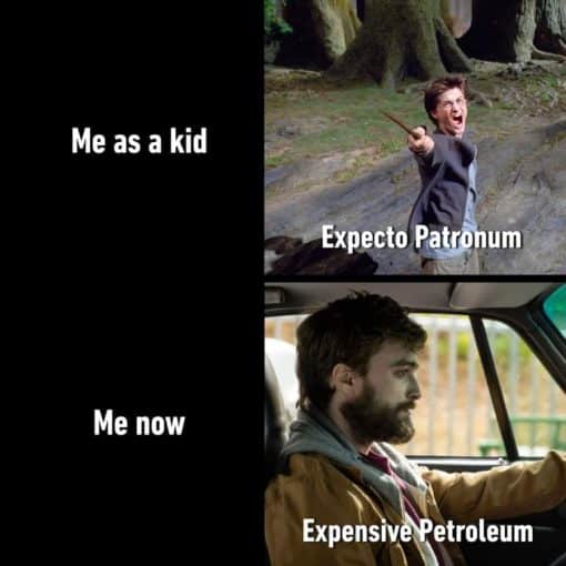 Funniest Memes, Harry Potter Memes, Kid VS Adult Expensive Petroleum