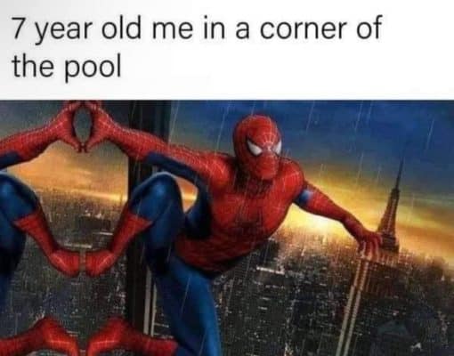 Funniest Memes, Spider Memes, Swimming Memes 