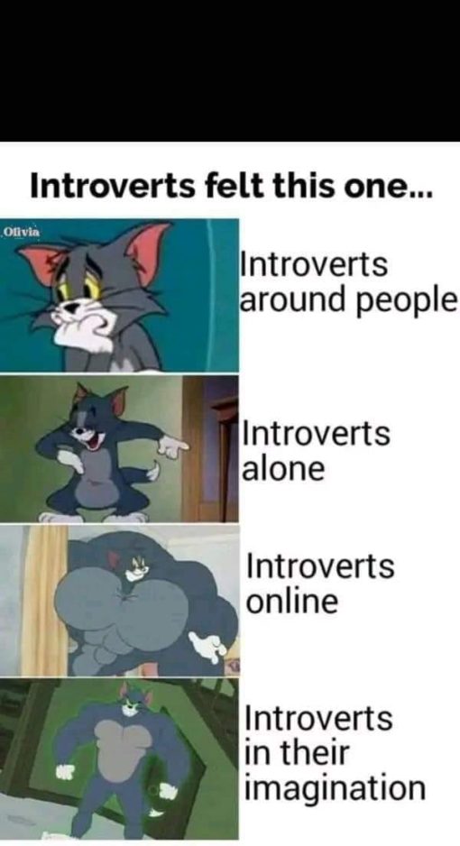 Funniest Memes, Introvert Memes 