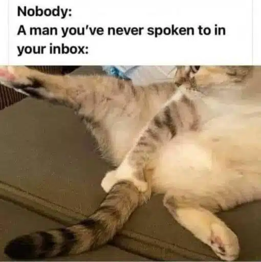 Cat Memes, Funniest Memes 