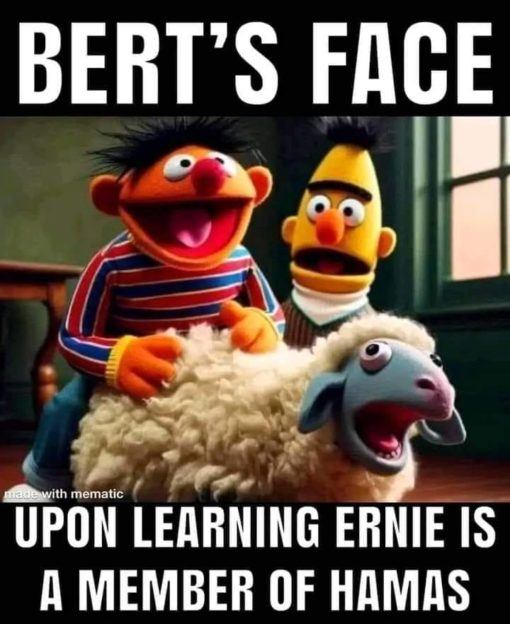 Bert and Ernie Memes, Funniest Memes, Hamas Memes, Muslim Memes, Sesame Street Memes Bert Hamas Sex with sheep