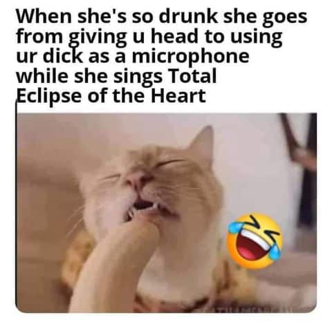 Drinking Memes, Funniest Memes, Karaoke Memes, Music Memes, Oral Sex Memes 