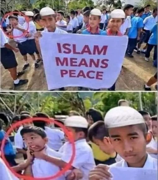 Funniest Memes, Muslim Memes 