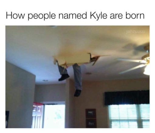 Funniest Memes, Kyle Memes 