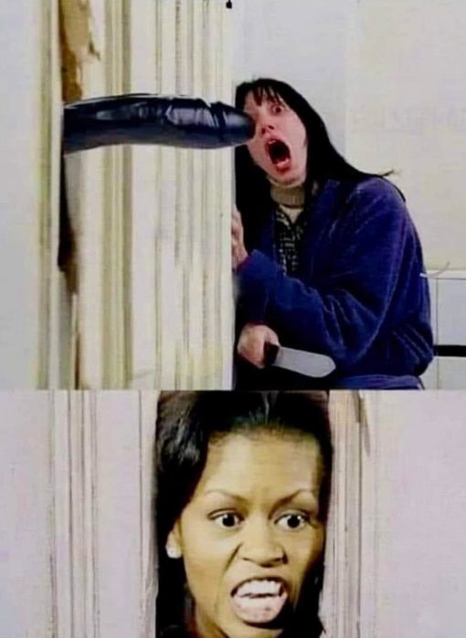 Funniest Memes Michelle Obama
