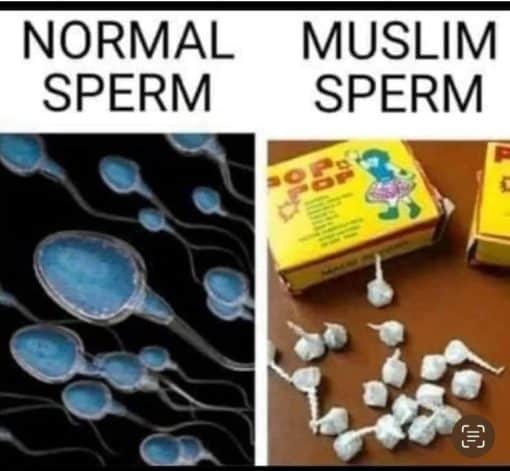 Funniest Memes Muslim Snap Sperm