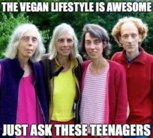 Funniest Memes, Vegan Memes 