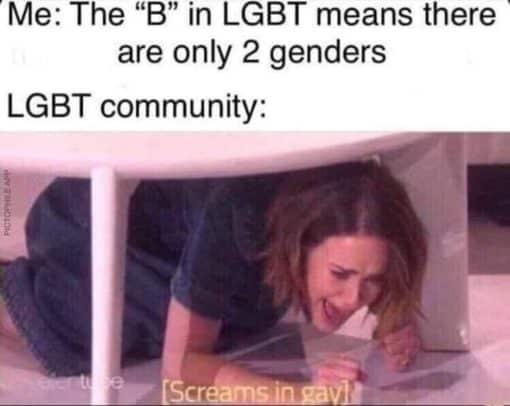 Funniest Memes, LGBTQ+ Memes 